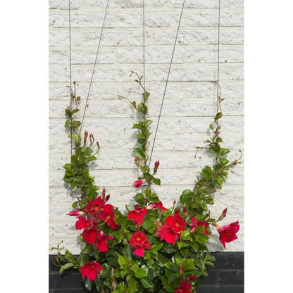 Metallic trellis Nature 6040760 - For climbing plants