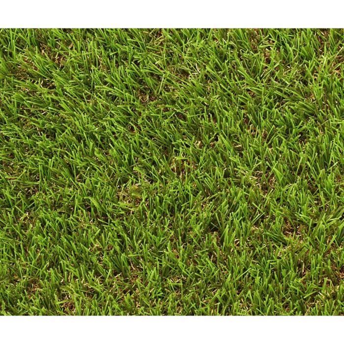 Grass - EXELGREEN - 124414 - Natura 2D - 38mm / 1 x 5 m