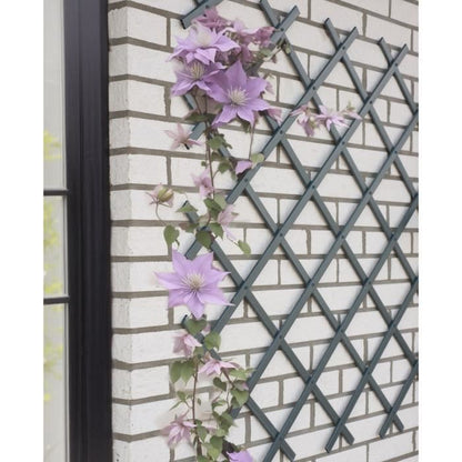 Expandable trellis - NATURE - Anthracite plastic - 50 x 150 cm