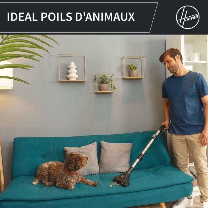 Bagless cylinder vacuum cleaner - HOOVER - HP321PAF - 850 W - 75 dBA - 2 L - Grey