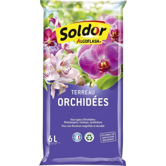 Algoflash - Terms orchids 6 L