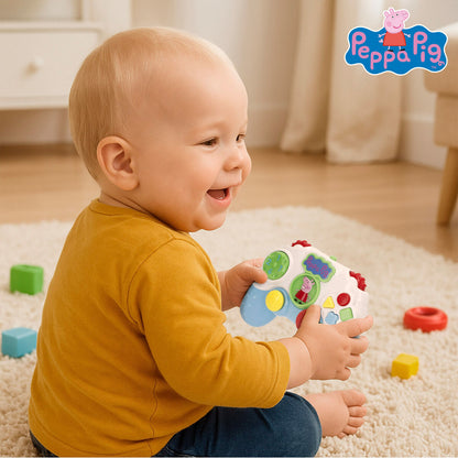 V4HE527F61D62EEA1A62FD7570B10084571R7170691P6