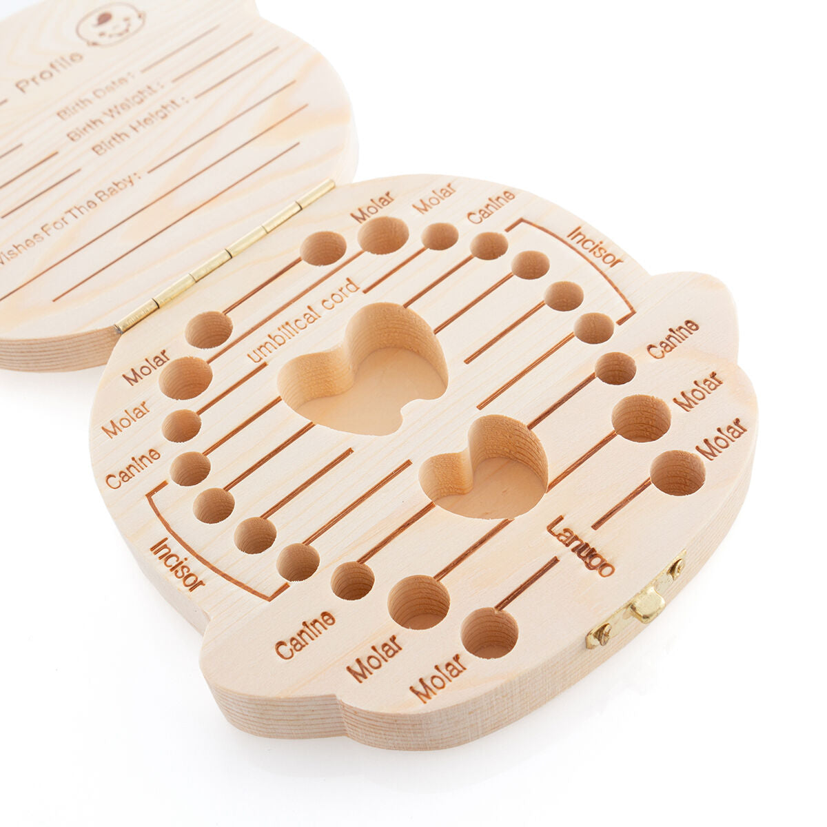 V15HB3E74AF0E2E5A1487505E024EB2065FAR5253354P6