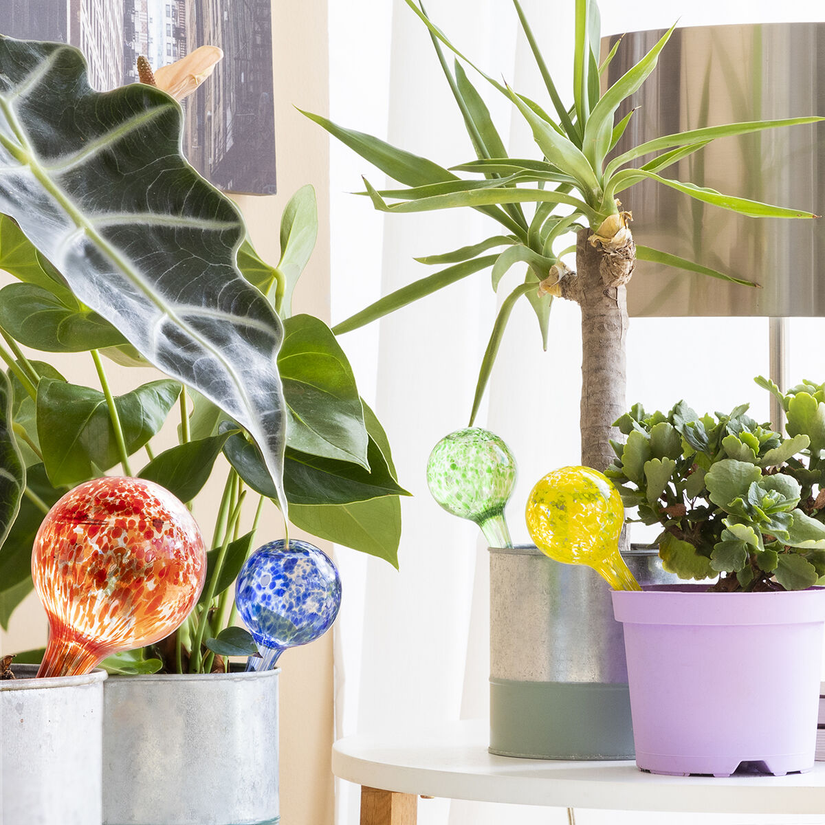 V11H342C48BFE06BBDDB73E1B167E8A3FE7AR5254348P1