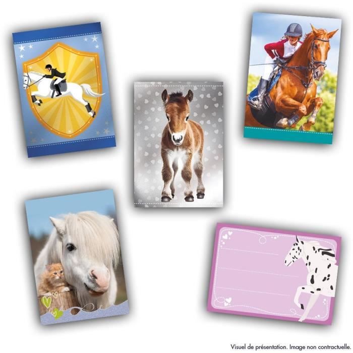 Starter Pack - PANINI - Card Collection for Horse Fans - Contains 1 Binder + 2 Sleeves