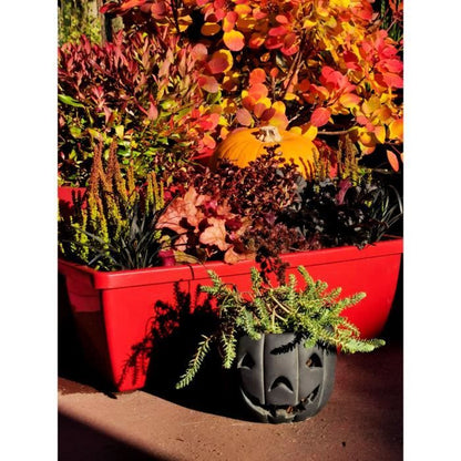 RIVIERA EVA flower box - Set of 2 planters - Plastic - 57 cm - Red