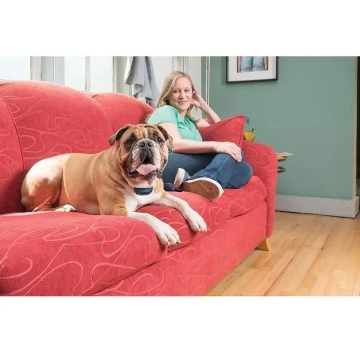 Petsafe - Dressing necklace with digital remote control for 2 dogs, range of 600m, rechargeable, waterproof, sound signal/vibration