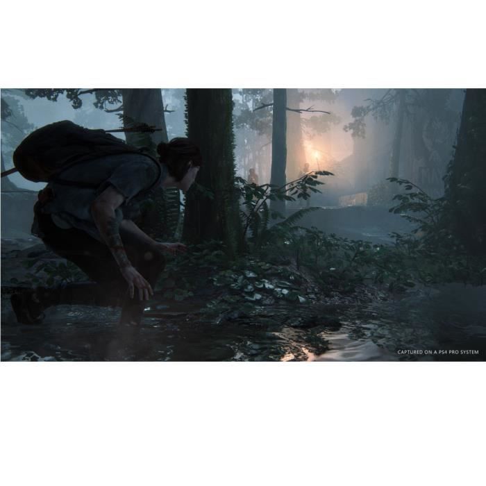 The Last of Us Part II PS4 Game