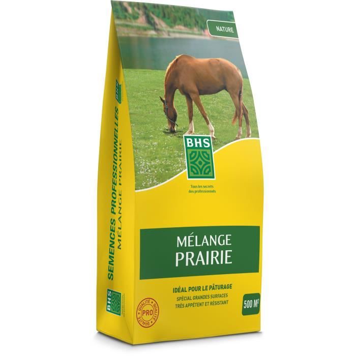 Grass - BHS - Meadow Mix 5kg | 500m² | For extensive areas and pastures | Quick to install, durable, maintenance-free.