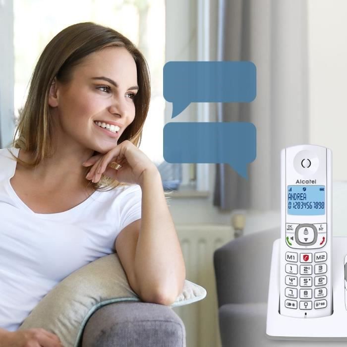 Alcatel Classic F530 Voice Solo Gray Cordless phone