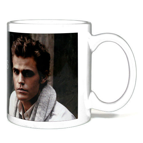 The Vampire Diaries Stefan Salvatore mug