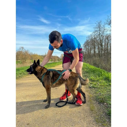 Dog traction harness - OLYMPIA - L - X-back type - Blue