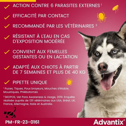 Advantix Dog Antiparasitic solution very large breed 40 to 60kg 6 pipettes