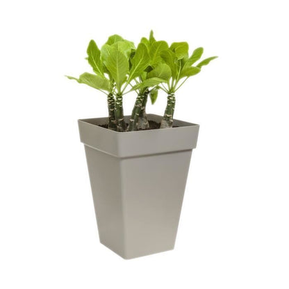 Square high flower pot 30 - White - Elho Loft Urban - 100% recycled