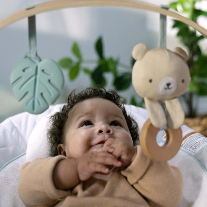 INGENUITY Nate the Bear bouncer with wooden play arch