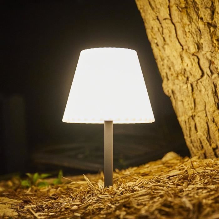 2 in 1 solar table lamp to plant or place - LUMISKY - BOUFFANT - H62 cm - Dimmable white LED