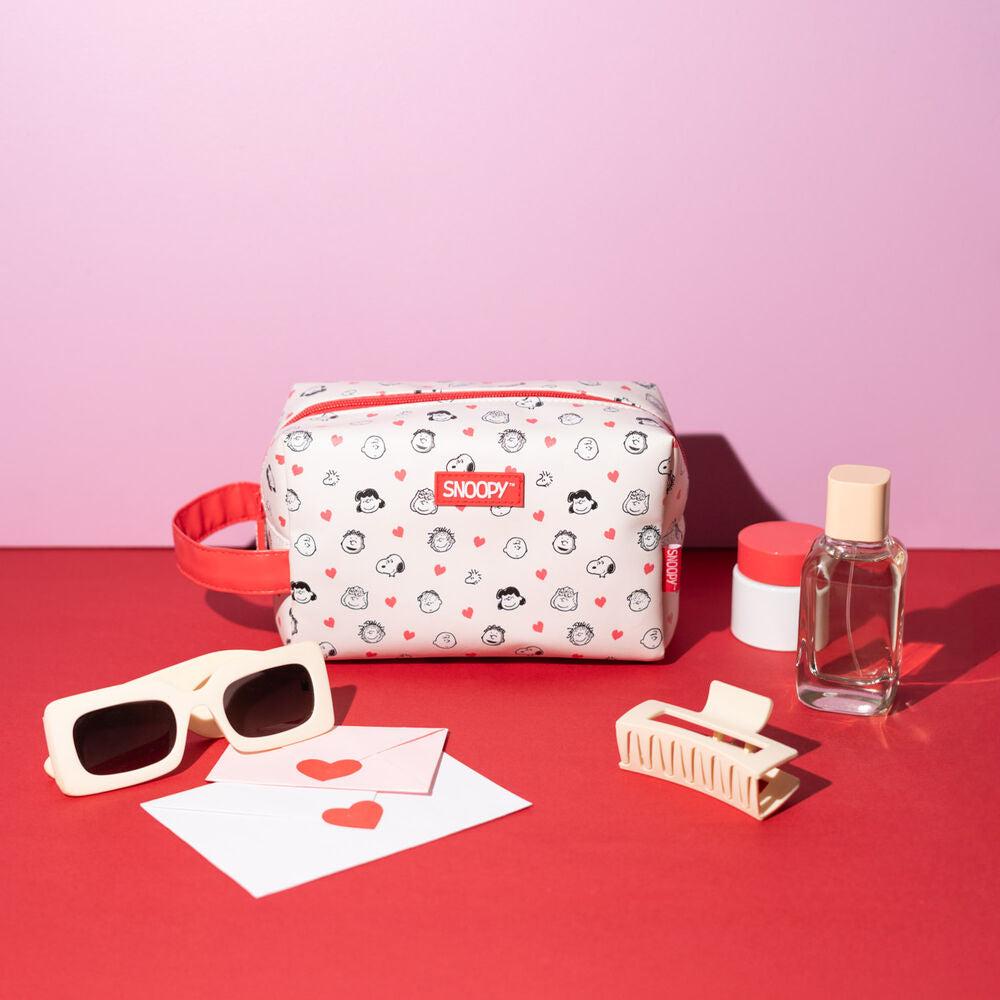 Peanuts Snoopy vanity case