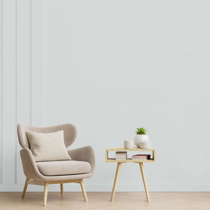 RIPOLIN All pieces wall paint, Ripolin - Matt mouse gray, 2.5L