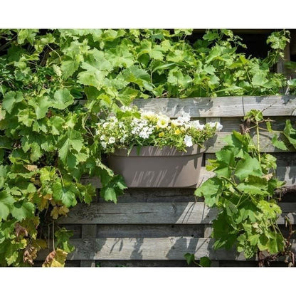 Planter + hook - GARDEN ID Star - Taupe 50 x 21 cm - Easy fixing - Water reserve - recycled and 100% recyclable