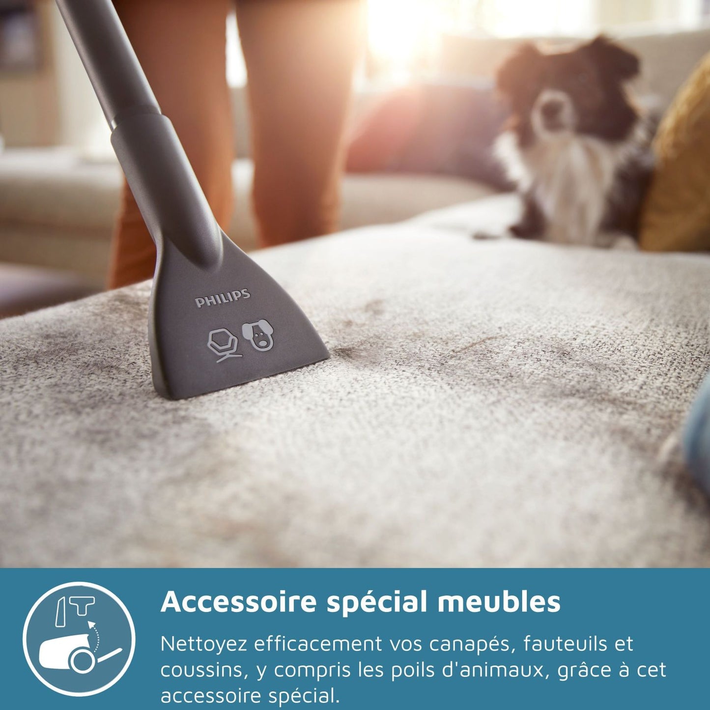 Philips XB2122/09 Vacuum without series SERIES 2000 - 850W - POWERYCLONE 4 - 77DB - White and blue