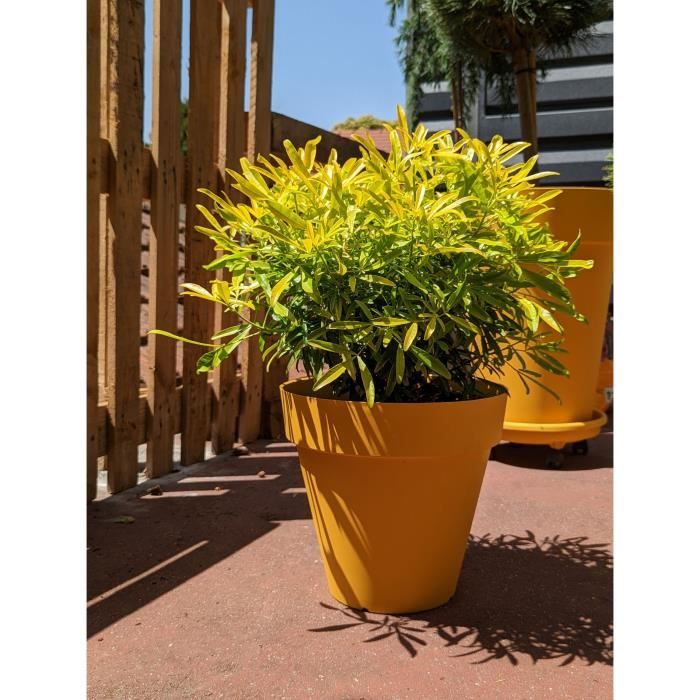 RIVIERA SOLEILLA round flower box - Plastic - Diameter 60 cm - Yellow