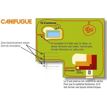 CANIFUGUE Fence and collar for dogs