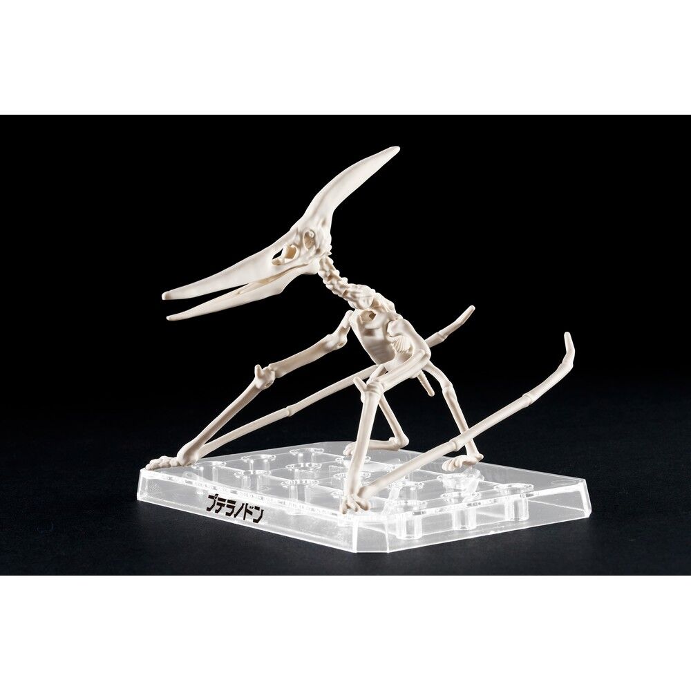 Plannosaurus Pteranodon Model Kit figure