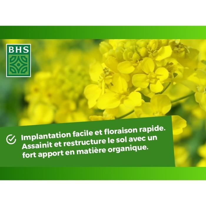 Green Fertilizers - BHS - White Mustard 500g | 100 m² | Improves and disinfects soils for better fertility.