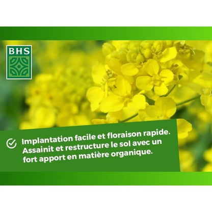 Green Fertilizers - BHS - White Mustard 500g | 100 m² | Improves and disinfects soils for better fertility.