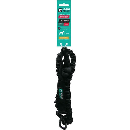 Dog traction leash - INTENSIA - 1.9 m - Double handle