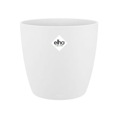 Brussels Round 30 White