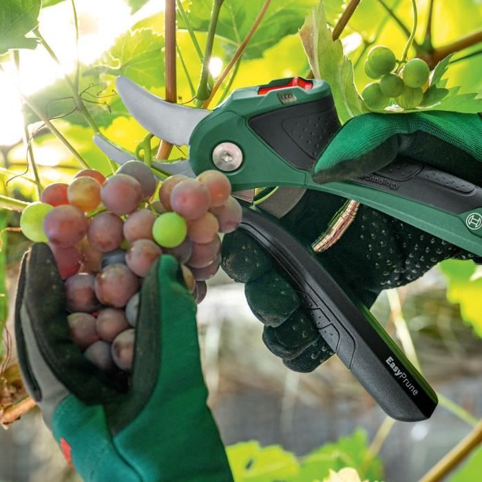 EasyPrune cordless pruner - Bosch
