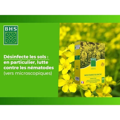Green Fertilizers - BHS - White Mustard 500g | 100 m² | Improves and disinfects soils for better fertility.