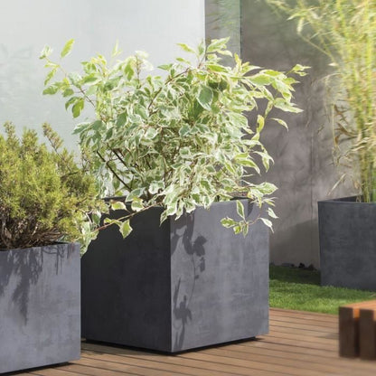 Cube Flower Pot - DEROMA - Millennium R - Anthracite - Self-Watering - Casters - 49 cm