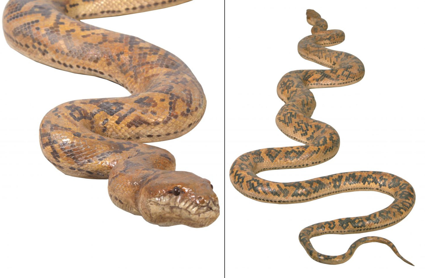 Python Snake 99.5" Long