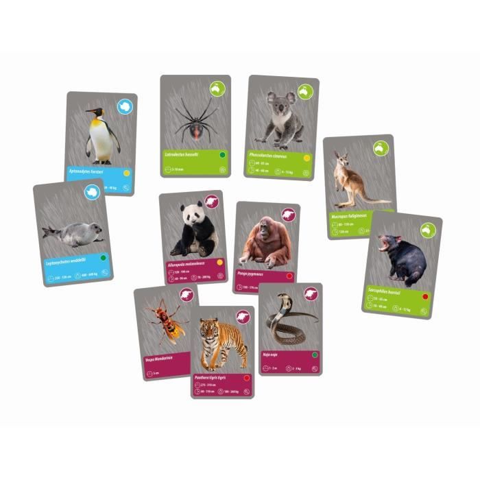 CLEMENTONI - Animals Planet Reality - Scientific box - Scientific experiments and virtual activities - Molds, paints,