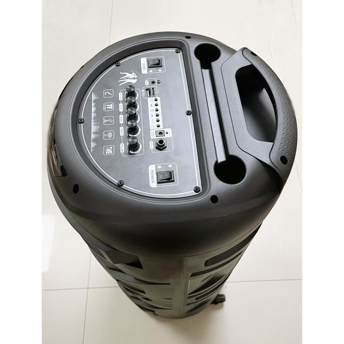 Karaoke speaker - INOVALLEY - Luminous - 1000 Watts - Bluetooth V5.0 - Battery life 2 to 3 hours - Wireless microphone included