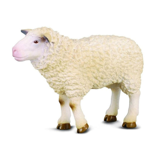CollectA Farm Life Collection Miniature Figure | Sheep