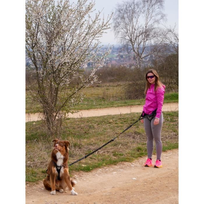 Dog harness - SYMBIOZ - M - Black / Blue