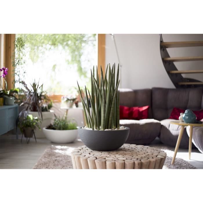 EDA PLASTIQUE - Graphit'Up basin pot Ø 40 - 14.9L - Anthracite gray