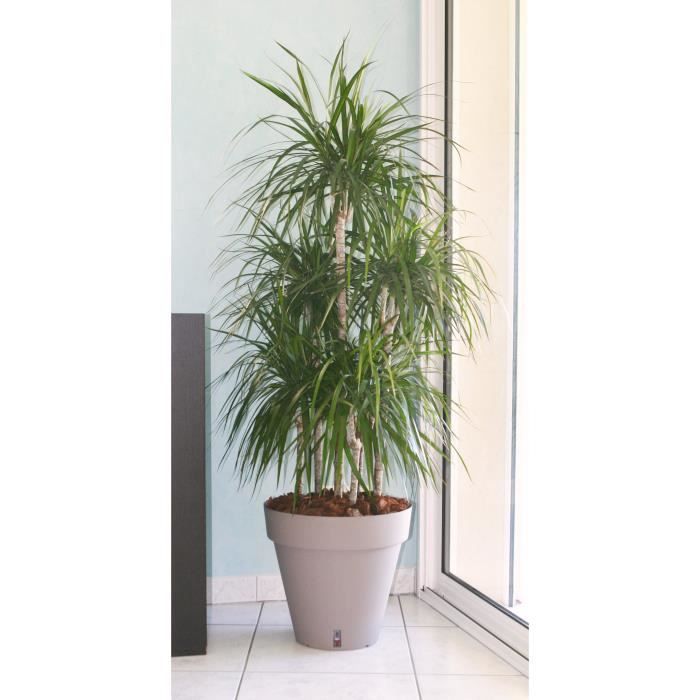 Riviera Loft flower pot with reserve of water - Round - Ø 50 x H 46 cm -Atape