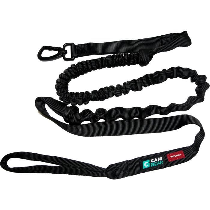 Dog traction leash - INTENSIA - 1.9 m - Double handle