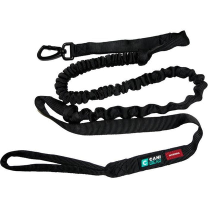 Dog traction leash - INTENSIA - 1.9 m - Double handle