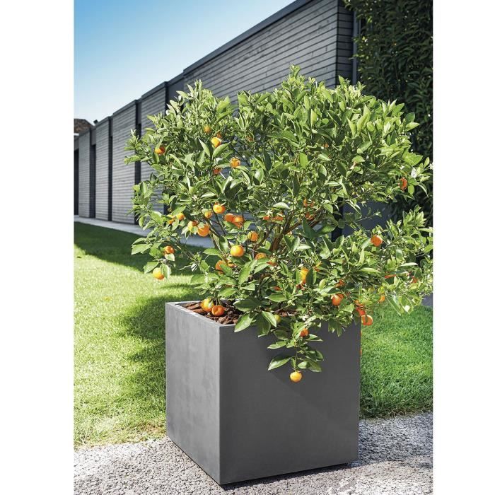 Cube Flower Pot - DEROMA - Millennium R - Anthracite - Self-Watering - Casters - 49 cm