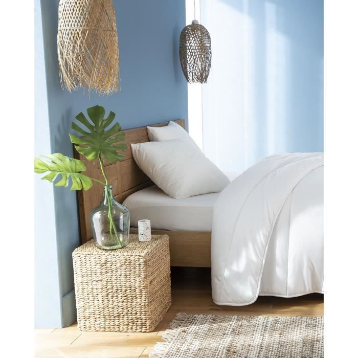 ABEIL Set of 2 FluffyDream Pillows 60 x 60 cm