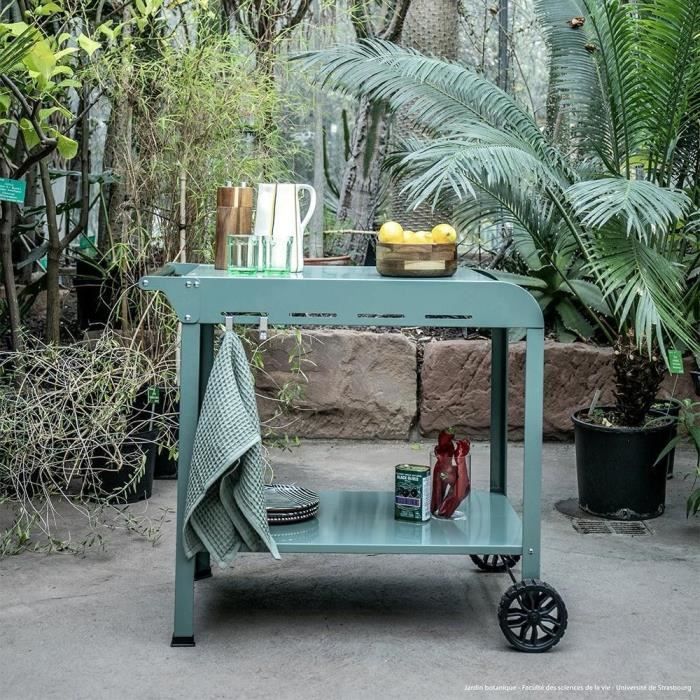 Plancha trolley - LIVOO - GS168V - Green / Black