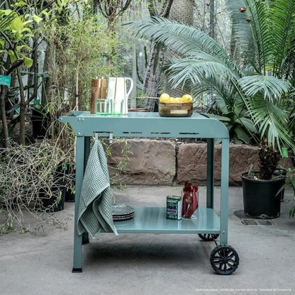 Plancha trolley - LIVOO - GS168V - Green / Black