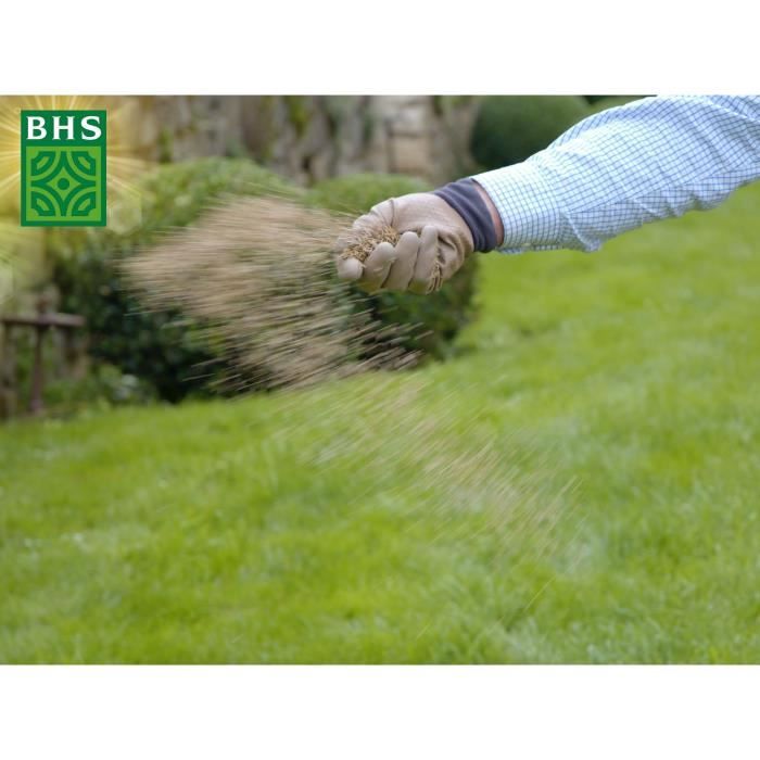 BHS English Turf - 3kg for Premium Gardens
