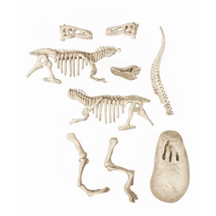 CLEMENTONI Science & Game - Archéo Ludic Vélociraptor - Scientific game