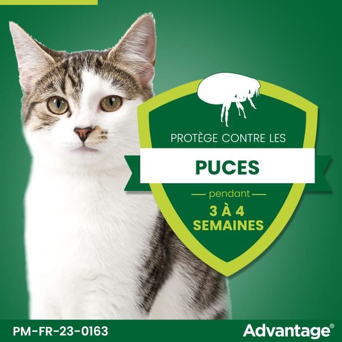 Advantage antipuce rabbit chat solution 1 to 4kg 6 pipettes